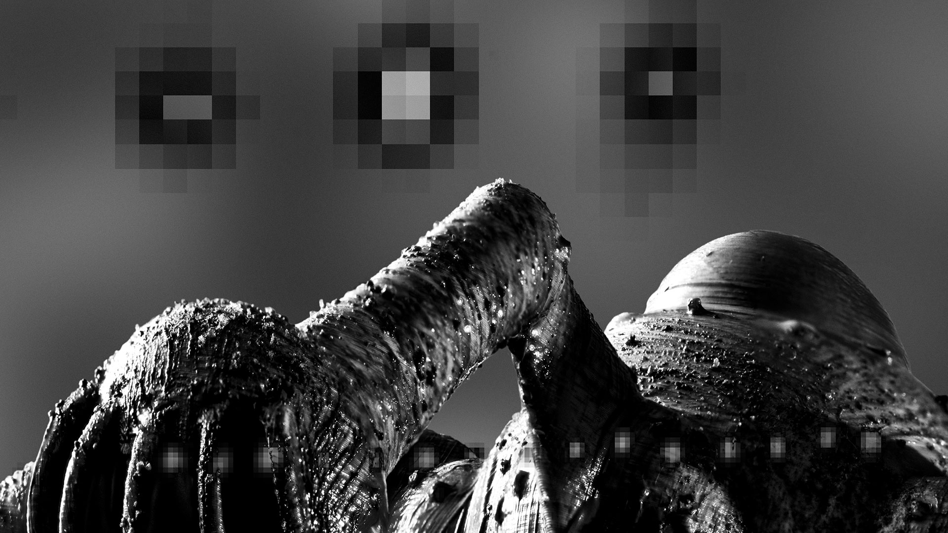 Bildausschnitt/Detail des digitalen Kunstwerkes 01: Die Oberfläche der oberen Kapsel des Kampfroboters und eines Fangarmes sind abgebildet. Die körnige Bildstruktur des Hintergrundes und die bewusst stark skalierten Vergrößerungen der Pixel als Gestaltungselemente der Bildkomposition werden deutlicher.