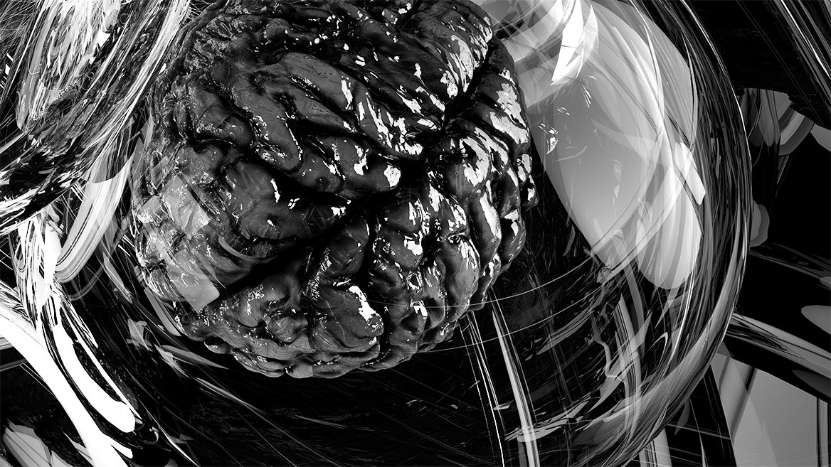 The fourth image section shows another brain with the reflections of shiny surfaces of the brain convolutions.