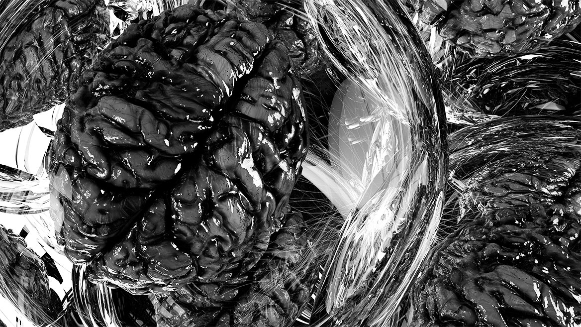 The second image section shows a human brain with the brain convolutions and the many structural details.