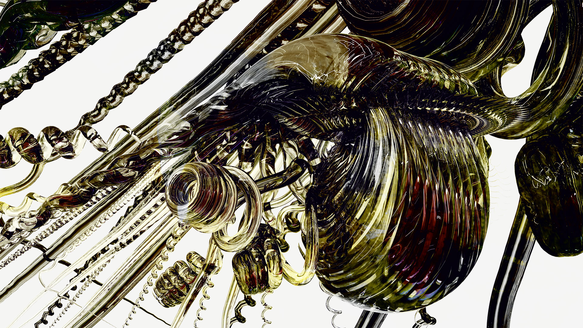 Eine farbige, transluzente Quallenart, die digital generiert wurde, windet sich mit ihren Tentakeln durch ihre virtuelle Welt.