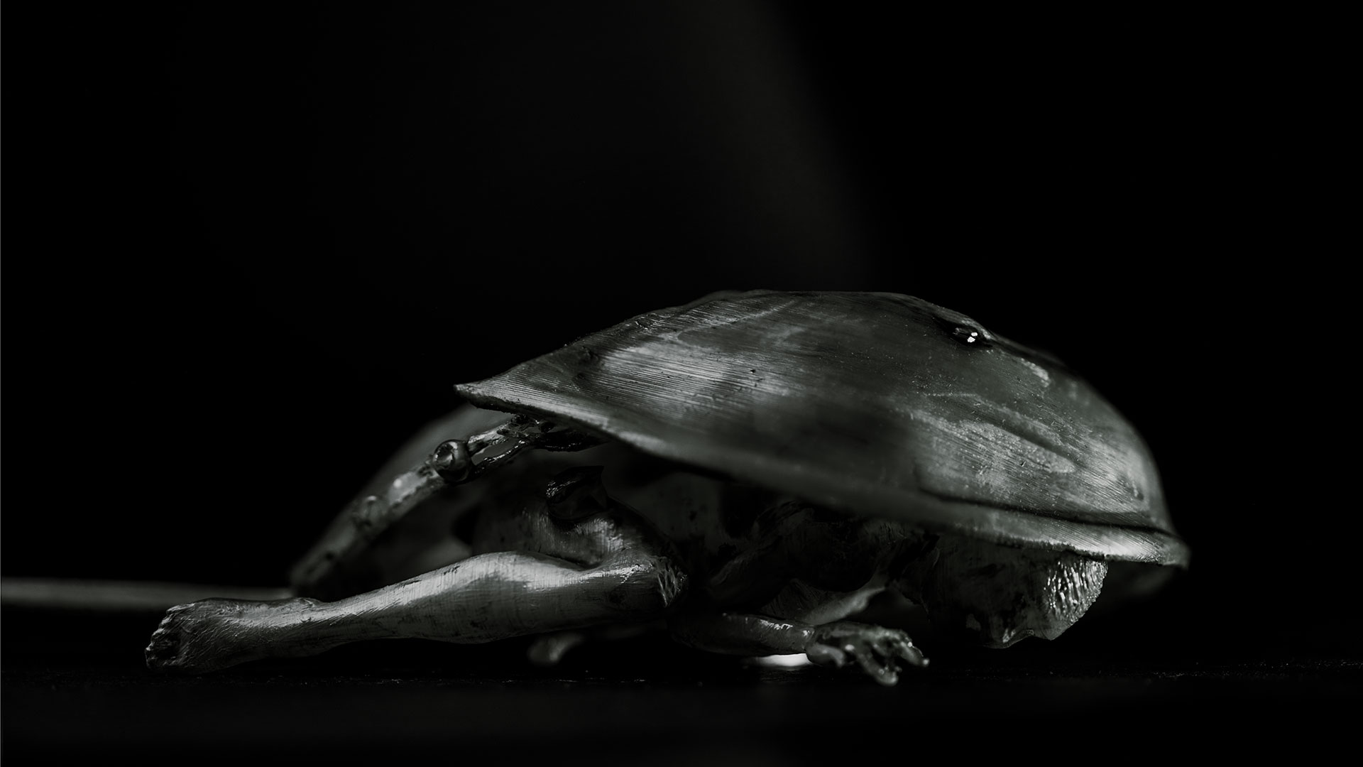 The same arrow-spined crab, viewed from the right. In this artistic composition combining 3D printing, oil painting, and artistic photography, the human figure beneath becomes more visible. With his legs drawn up, a naked man crawls along the ground beneath the crab’s shell. Half of his head is also peeking out.