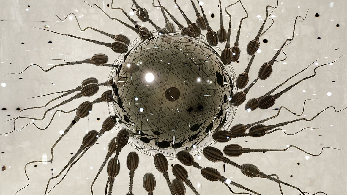 Artificial seeds strive towards an egg cell that is also artificial. The egg cell is surrounded by a futuristic-looking grid.