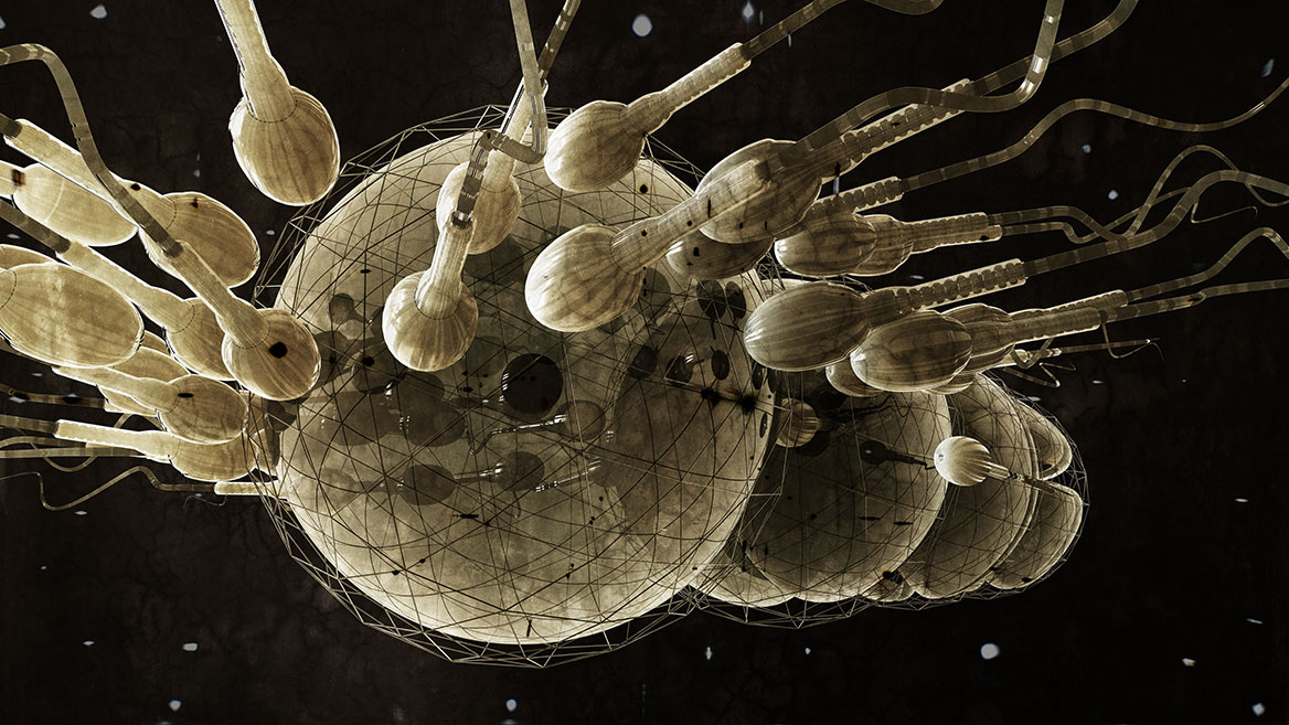In the new perspective, the sperm cells continue to strive towards the egg cell, which is joined by further egg cells. The principle of cell division can be guessed. The artistic image is darkened in the lower part.
