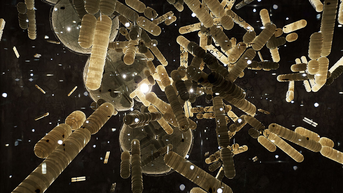 Many pairs of chromosomes float freely in space. All chromosomes are genetically encoded.