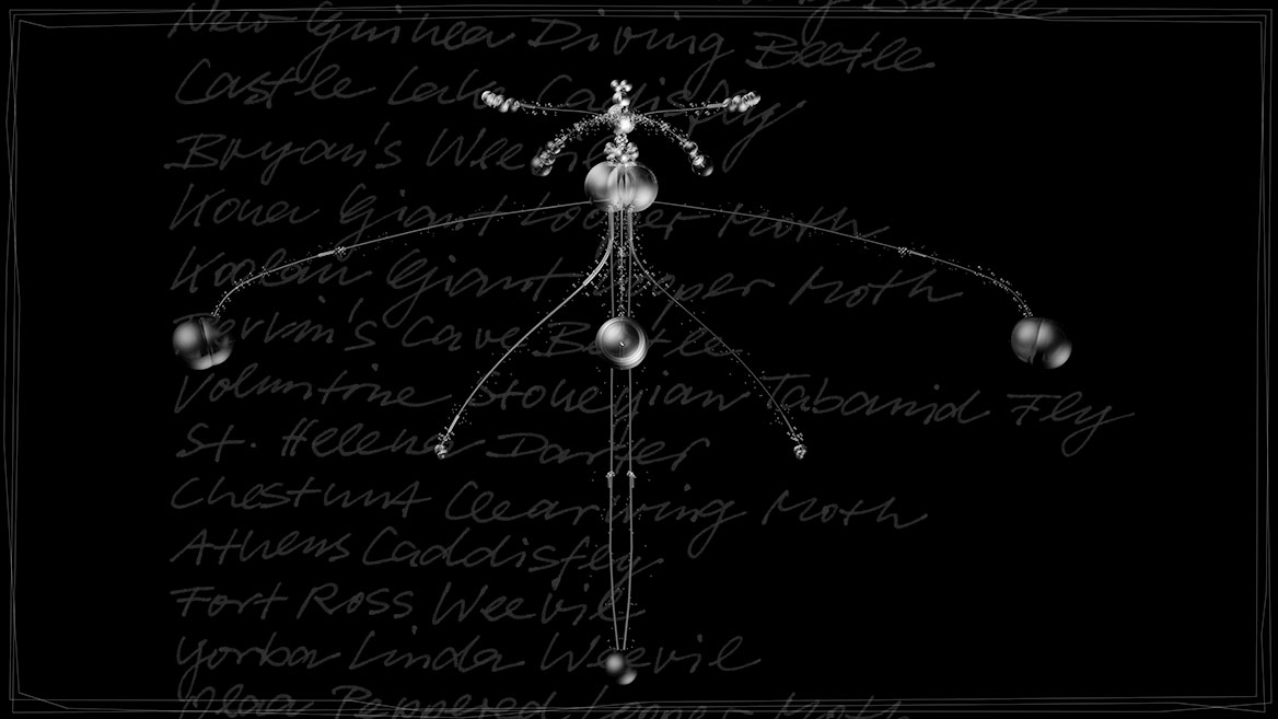 Artistic 3D visualization and composition of a fantastic insect, composed of transparent elements against a black background. Totals of 'FULU' from the picture series 'Insects leave now'. The calligraphically written names of extinct insects are listed in the background.
