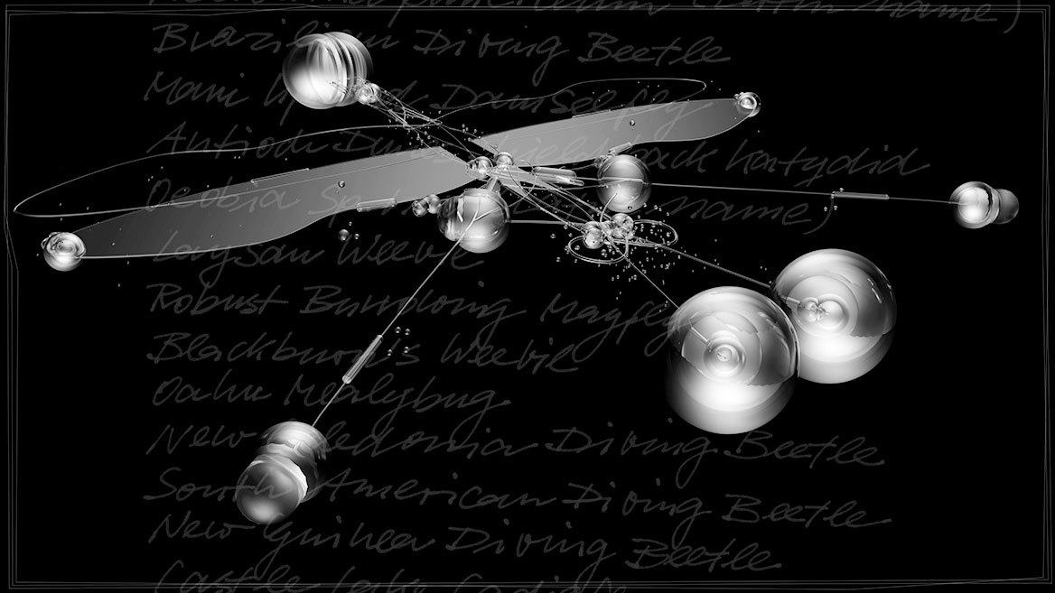 Artistic 3D visualization and composition of a fantastic insect, composed of transparent elements against a black background. Close up of 'SADR' from the picture series 'Insects leave now'. The calligraphically written names of extinct insects are listed in the background.