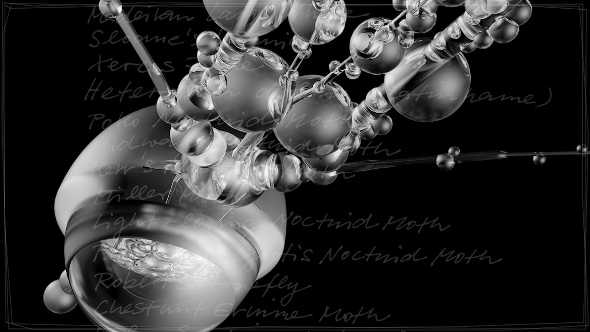 Artistic 3D visualization and composition of a fantastic insect, composed of transparent elements against a black background. Close up of 'SHAM' from the picture series 'Insects leave now'. The calligraphically written names of extinct insects are listed in the background.