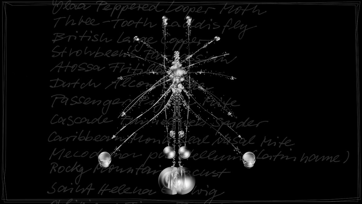 Künstlerische 3D-Visualisierung und Komposition eines fantastischen Insektes, zusammengesetzt aus transparenten Elementen vor schwarzem Hintergrund. Totale von ›CAPH‹ aus der Bildserie ›Insects leave now‹. Im Hintergrund sind die kalligrafisch geschriebenen Namen ausgestorbener Insekten aufgelistet.