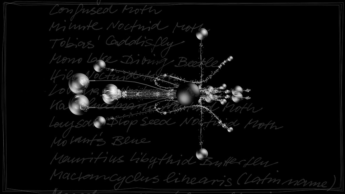 Künstlerische 3D-Visualisierung und Komposition eines fantastischen Insektes, zusammengesetzt aus transparenten Elementen vor schwarzem Hintergrund. Totale up von ›OKAB‹ aus der Bildserie ›Insects leave now‹. Im Hintergrund sind die kalligrafisch geschriebenen Namen ausgestorbener Insekten aufgelistet.