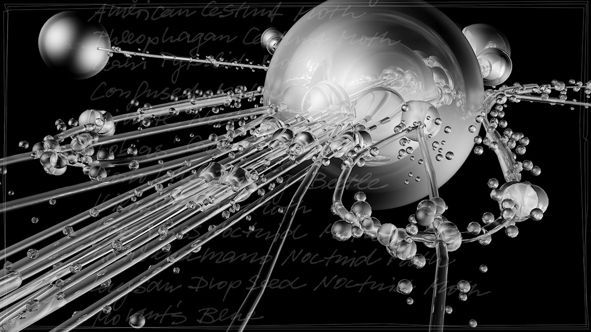 Künstlerische 3D-Visualisierung und Komposition eines fantastischen Insektes, zusammengesetzt aus transparenten Elementen vor schwarzem Hintergrund. Close up von ›OKAB‹ aus der Bildserie ›Insects leave now‹. Im Hintergrund sind die kalligrafisch geschriebenen Namen ausgestorbener Insekten aufgelistet.