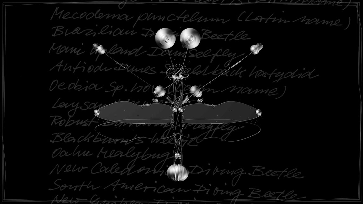 Künstlerische 3D-Visualisierung und Komposition eines fantastischen Insektes, zusammengesetzt aus transparenten Elementen vor schwarzem Hintergrund. Totale von ›SADR‹ aus der Bildserie ›Insects leave now‹. Im Hintergrund sind die kalligrafisch geschriebenen Namen ausgestorbener Insekten aufgelistet.