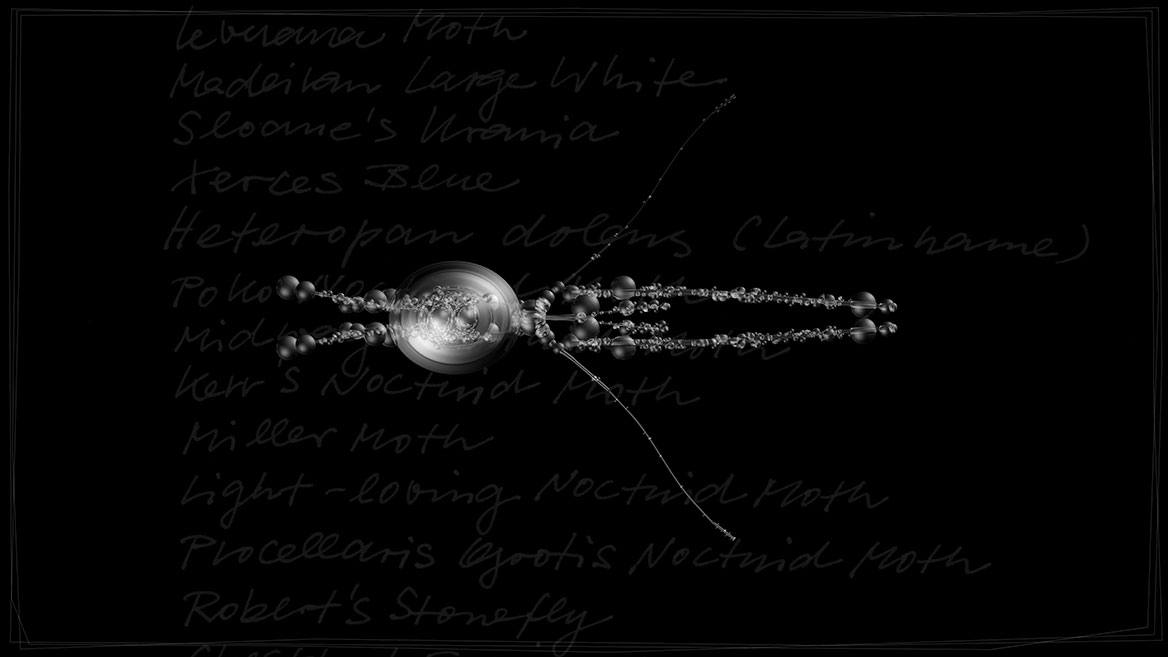 Künstlerische 3D-Visualisierung und Komposition eines fantastischen Insektes, zusammengesetzt aus transparenten Elementen vor schwarzem Hintergrund. Totale von ›SHAM‹ aus der Bildserie ›Insects leave now‹. Im Hintergrund sind die kalligrafisch geschriebenen Namen ausgestorbener Insekten aufgelistet.