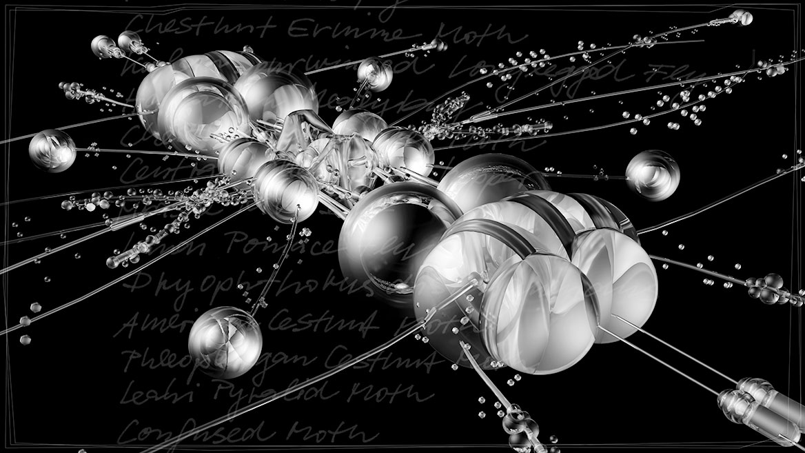 Künstlerische 3D-Visualisierung und Komposition eines fantastischen Insektes, zusammengesetzt aus transparenten Elementen vor schwarzem Hintergrund. Close up von ›TARF‹ aus der Bildserie ›Insects leave now‹. Im Hintergrund sind die kalligrafisch geschriebenen Namen ausgestorbener Insekten aufgelistet.