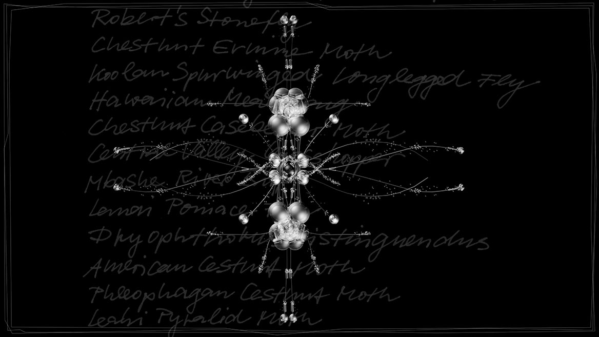 Künstlerische 3D-Visualisierung und Komposition eines fantastischen Insektes, zusammengesetzt aus transparenten Elementen vor schwarzem Hintergrund. Totale von ›TARF‹ aus der Bildserie ›Insects leave now‹. Im Hintergrund sind die kalligrafisch geschriebenen Namen ausgestorbener Insekten aufgelistet.
