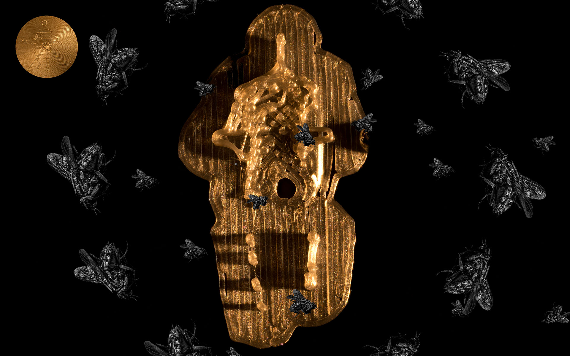 Die folgenden Bild-Tafeln sind wesentlich kleiner. Diese Komposition bildet eine goldene, sehr abstrakte Figur ab. Sie ist, wie auch das immer an gleicher Position stehende Logo, golden gefärbt und wird von proportional übergroßen Fliegen umkreist. Fast alle Fliegen umkreisen die thronende Figur entgegen dem Uhrzeigersinn.