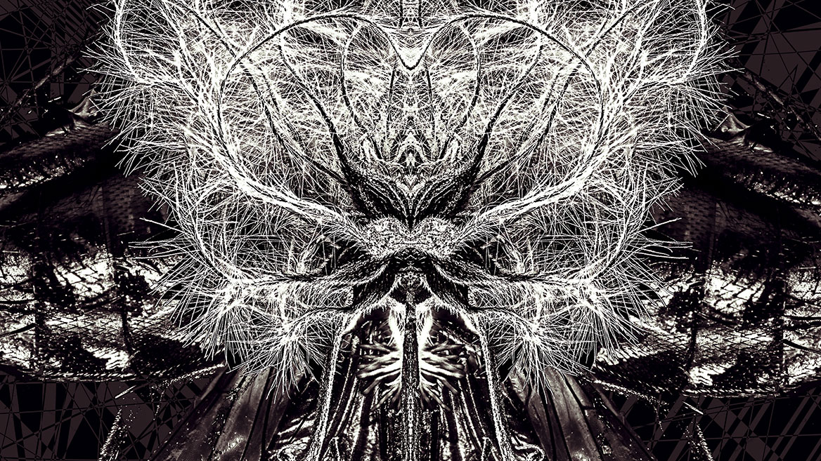 The image section shows details from the insect portrait - The Minister of Play and Dancing - in almost original size on larger monitors.