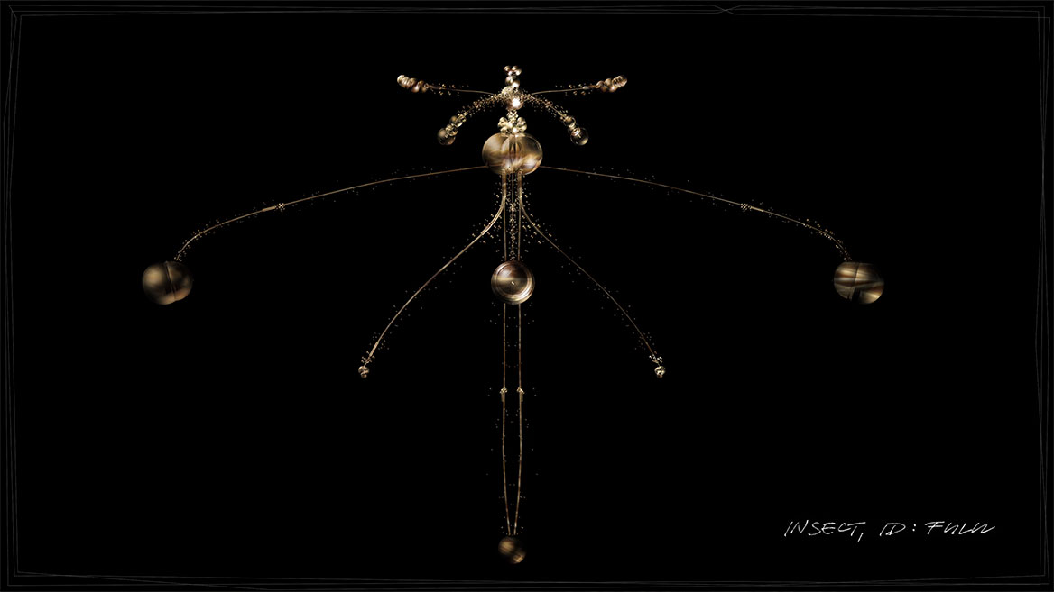 Standbild aus der Animation. Zu sehen ist das Insekt mit der ID - FULU - vor schwarzem Bildhintergrund.