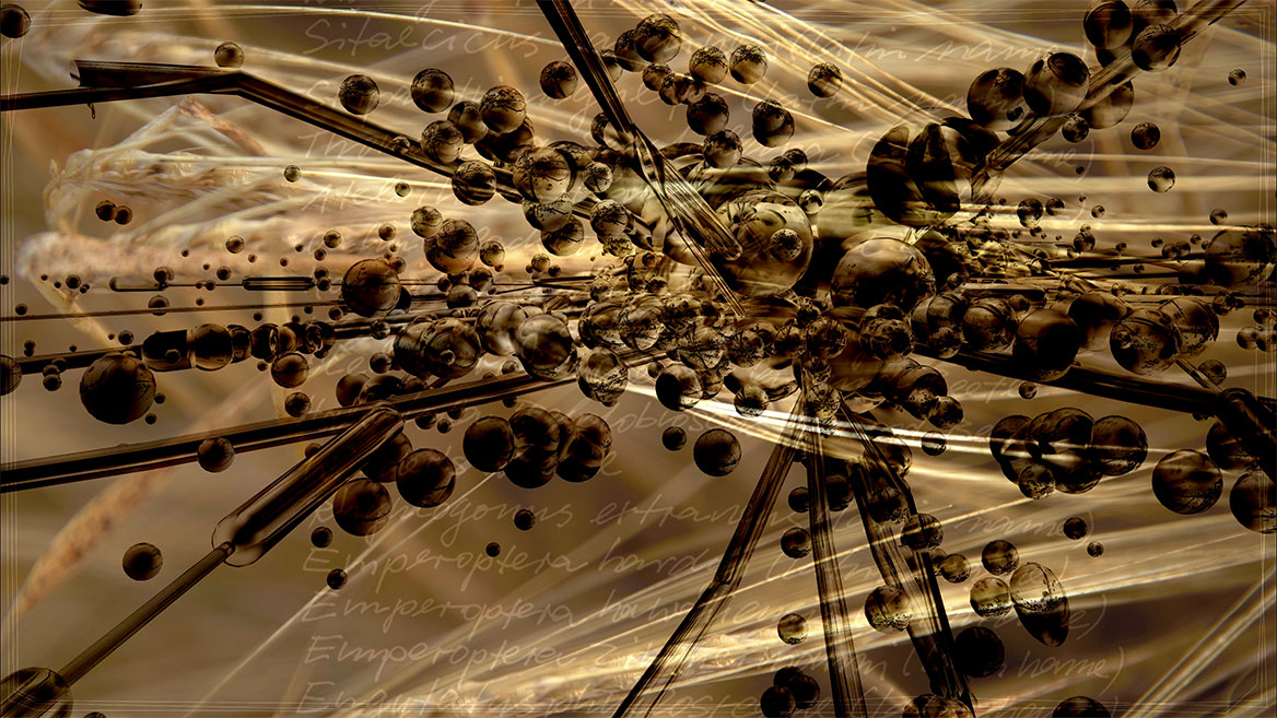 Standbild aus der Animation. Ein Detailausschnitt eines schwarzen Insekts vor den Ähren eines Kornfelds.