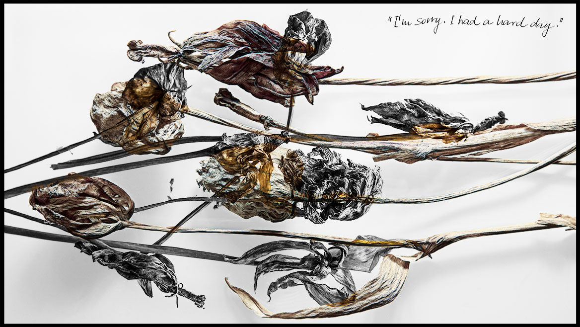 Artistic photography, variation 04: Withered and dried tulips cross each other in two image planes. The lower picture plane is black and white, the upper picture plane in desaturated colors. Despite the pictorial expression of decay and transience, the composition appears aesthetic. The digital multiple exposure is framed by a black mourning border. Within the image series, the compositions vary through different flowers and the composition of the image, the manner of making remains the same.