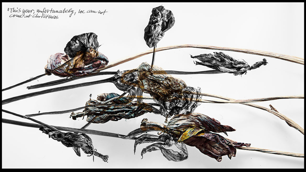 Artistic photography, variation 06: Withered and dried tulips cross each other in two image planes. The lower picture plane is black and white, the upper picture plane in desaturated colors. Despite the pictorial expression of decay and transience, the composition appears aesthetic. The digital multiple exposure is framed by a black mourning border. Within the image series, the compositions vary through different flowers and the composition of the image, the manner of making remains the same.