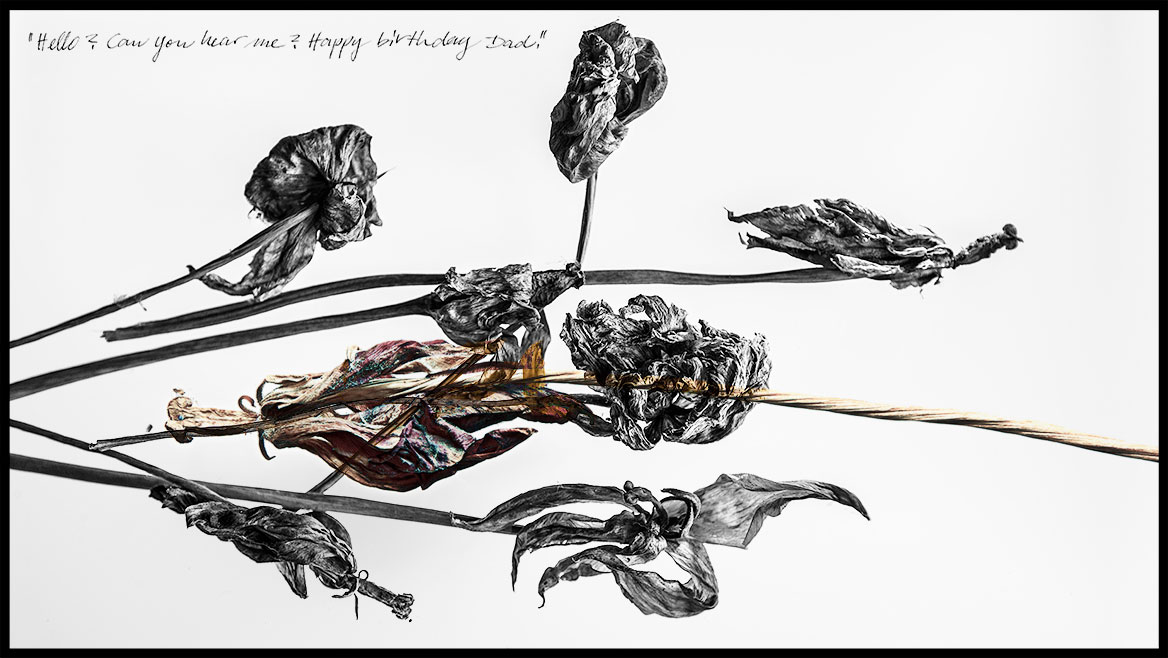 Künstlerische Fotografie, Variation 02: Verwelkte und ausgetrocknete Tulpen kreuzen sich in zwei Bildebenen. Die untere Bildebene ist Schwarz-Weiß, die obere Bildebene in entsättigten Farben gehalten. Trotz des bildgewordenen Ausdrucks von Verfall und Vergänglichkeit, wirkt die Komposition ästhetisch. Die digitale Mehrfachbelichtung ist durch einen schwarzen Trauerrand eingefasst. Innerhalb der Bildserie variieren die Kompositionen durch verschiedene Blumen und den Bildaufbau, die Machart beleibt gleich.