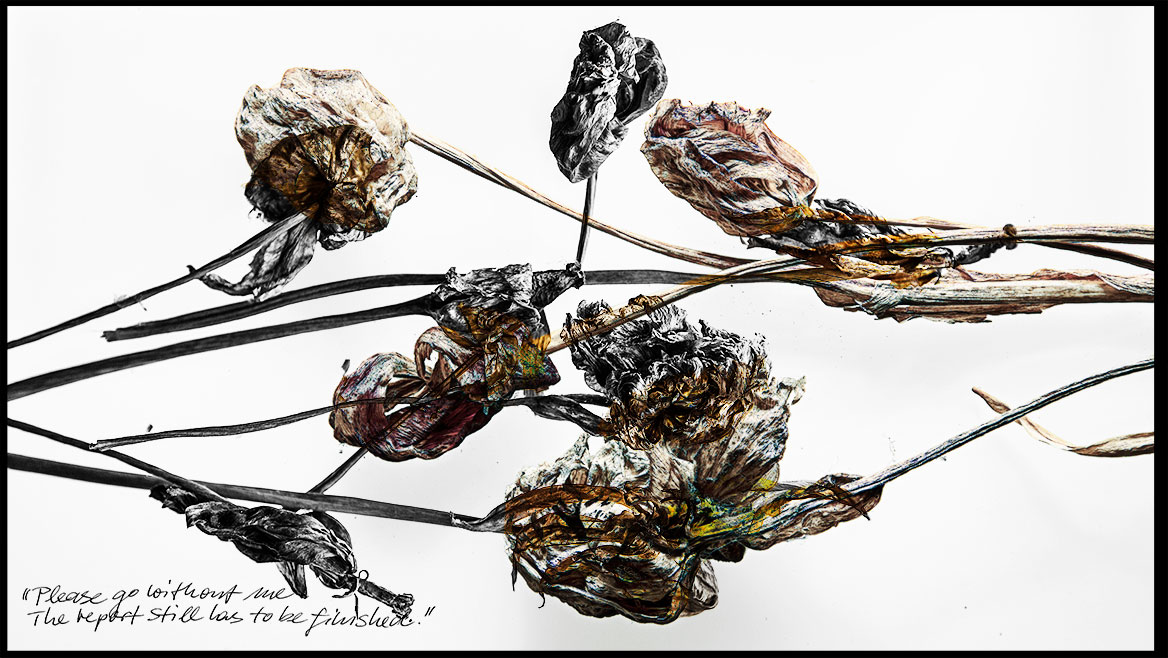 Künstlerische Fotografie, Variation 08: Verwelkte und ausgetrocknete Tulpen kreuzen sich in zwei Bildebenen. Die untere Bildebene ist Schwarz-Weiß, die obere Bildebene in entsättigten Farben gehalten. Trotz des bildgewordenen Ausdrucks von Verfall und Vergänglichkeit, wirkt die Komposition ästhetisch. Die digitale Mehrfachbelichtung ist durch einen schwarzen Trauerrand eingefasst. Innerhalb der Bildserie variieren die Kompositionen durch verschiedene Blumen und den Bildaufbau, die Machart beleibt gleich.