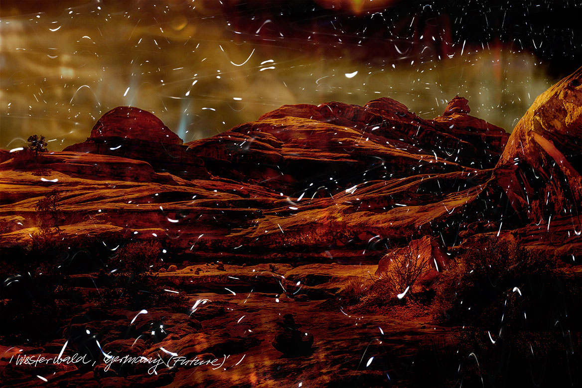 Künstlerische Fotografie: Wellenförmiges Gestein, zerfurcht, mit ausgetrockneten Sträuchern.