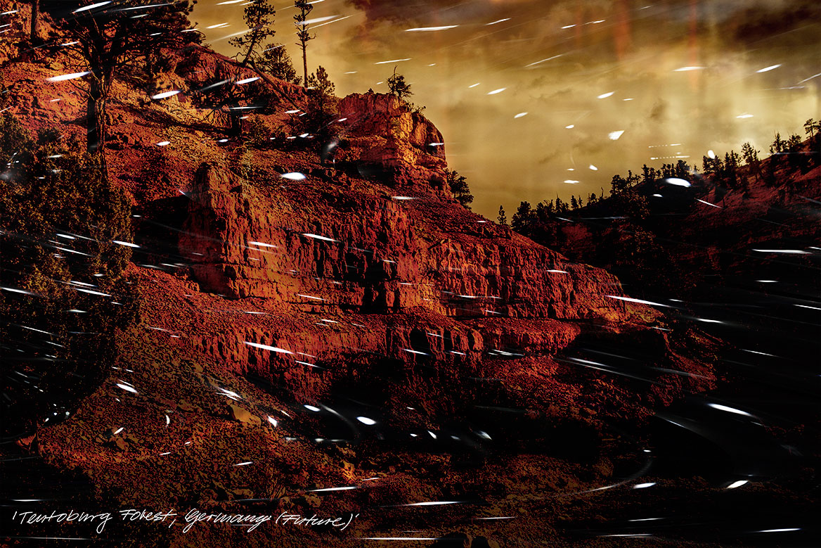 Künstlerische Fotografie: Der abgerutsche Berghang und bröseliges Gestein geben Bäumen keinen Halt mehr.