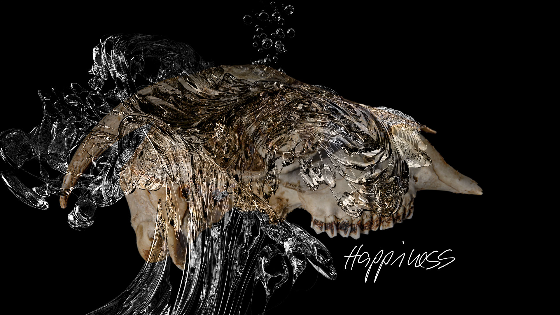 Das letzte Bildmotiv der Serie trägt den Titel -Happiness-.