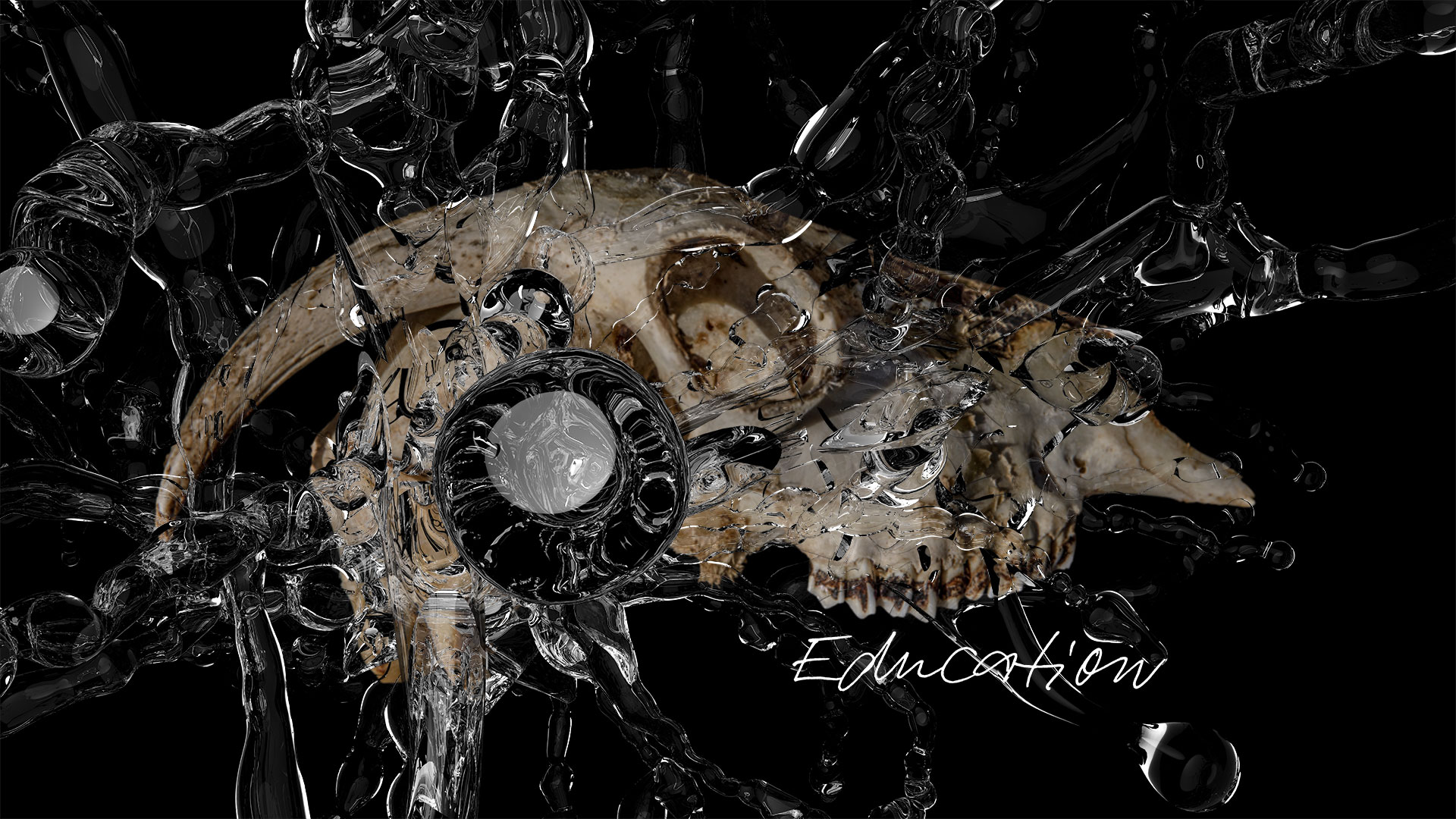 The artistic composition shows the photographed, skeletonized head of a goat in the centre of the picture. The skull is hit by jets of water that seem to bounce off. The horns, the teeth and the eye socket of the head are clearly visible. The background of the picture is black. The word -Education- is inserted calligraphically in the bottom right-hand corner of the picture. The composition of the artistic series is the same for all motifs; the shape of the water and the calligraphic lettering vary.