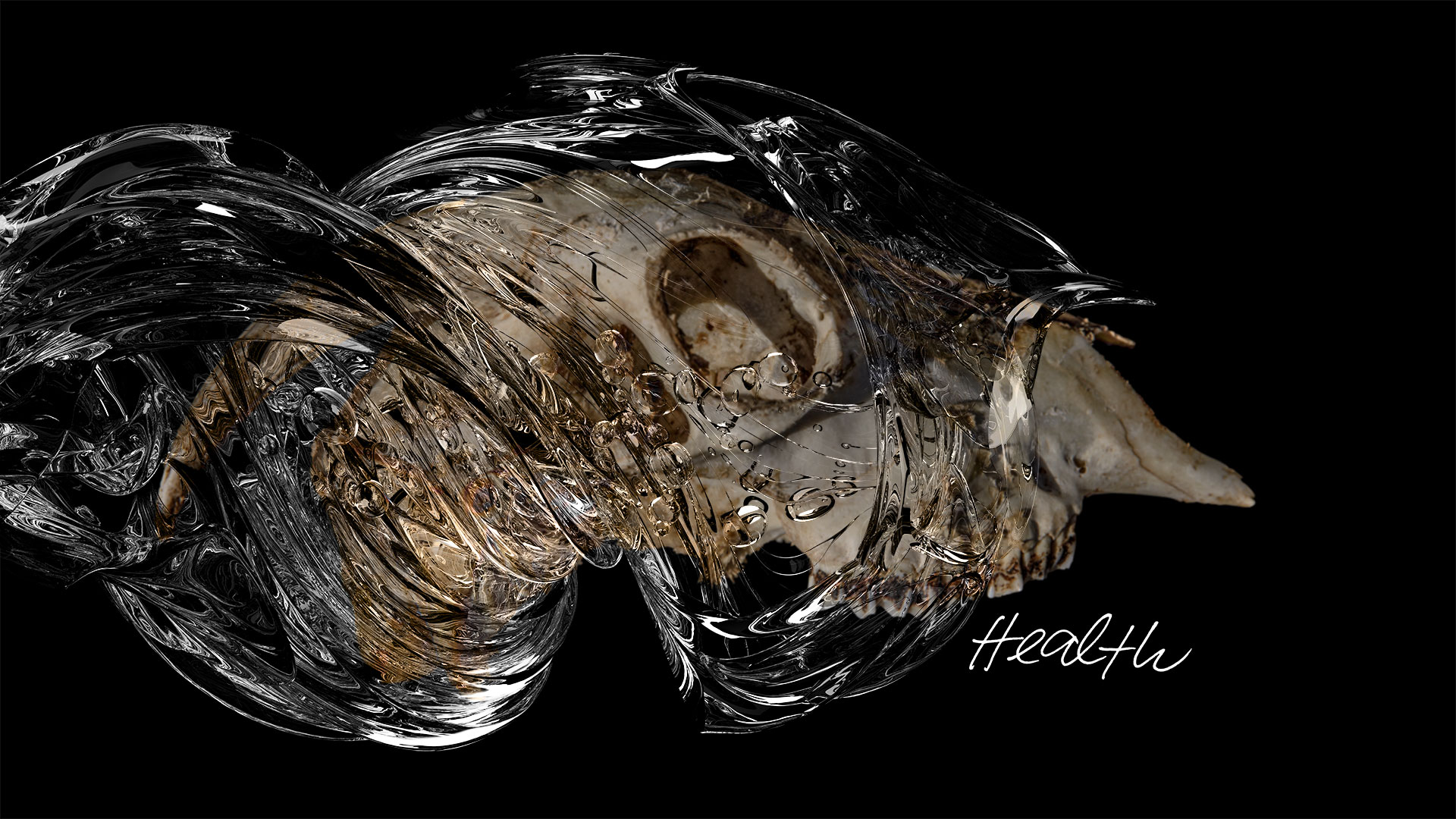 The surge of water coming from the left seems to swirl around the goat skull. The caligraphically written word -Health- is inserted.