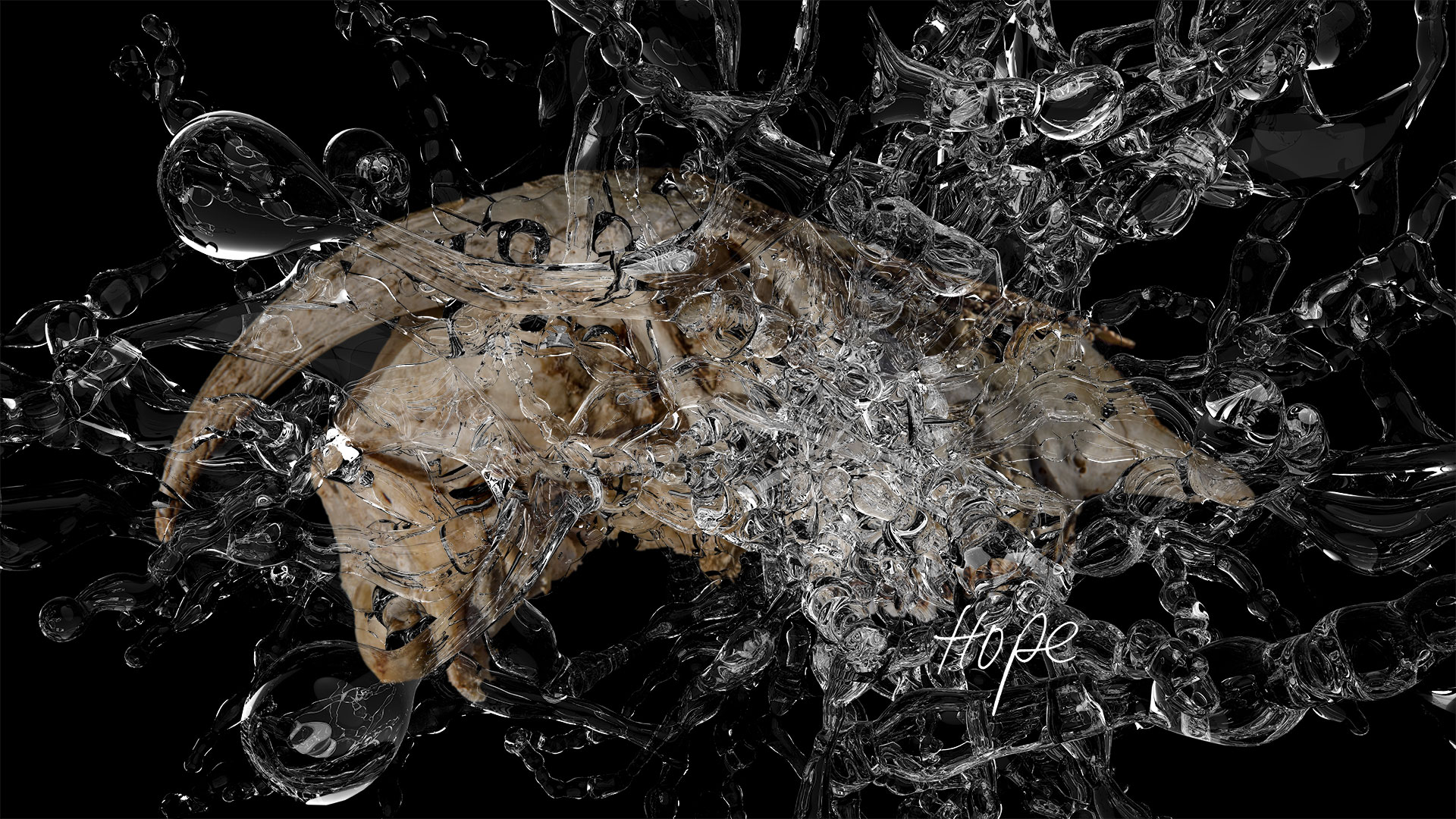 A torrent of water falls on the skull. -Hope- is the title of this work of art.